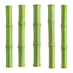 Obraz premium Green bamboo stalks arranged in vertical lines. PNG