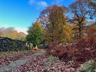 A winding country path bordered by stone walls and autumn foliage, inviting exploration and a connection to nature. Orientation landscape.