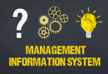Management Information System  © magele-picture