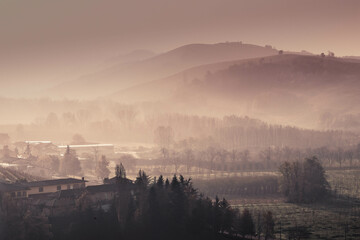 morning fog in the piedmont hills of langhe with its vineyards. near alba, in granzane cavour © roberto muratore