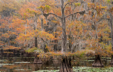 Cado lake in fall