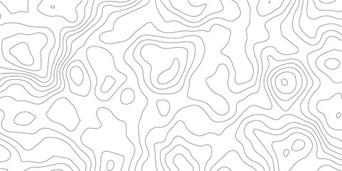 White paper curve reliefs abstract background. Abstract Topography contours map background. Pattern and Geography grid map design.