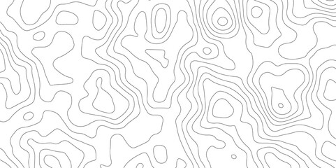 White paper curve reliefs abstract background. Abstract Topography contours map background. Pattern and Geography grid map design.