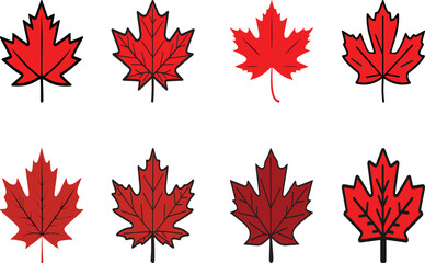 Color Maple Leaf Vector icon Illustration