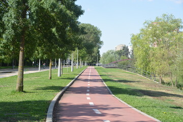 Carril bici en la ciudad