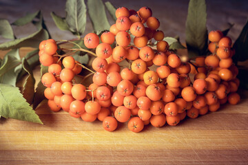 A bunch of ripe rowan berries, with green leaves, on a wooden background.