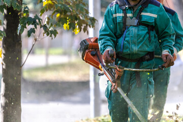 Workers using a trimmer to maintain garden landscaping in a public park during autumn