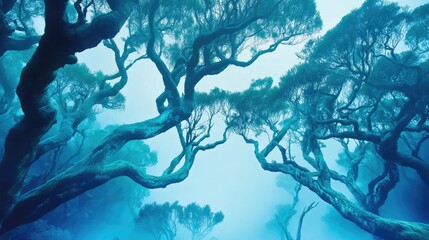 Mystical Foggy Forest with Twisting Trees and Ethereal Atmosphere