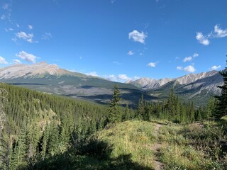 Landscape with Canadian Rocky Mountains 