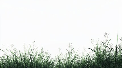 Fototapeta premium a lush green grass field with a white background, creating a peaceful and tranquil atmosphere