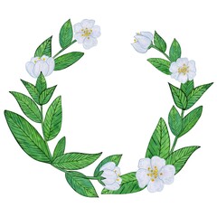 Tea flowers with white blooms and vibrant green leaves watercolor illustration. Wreath of buds, foliage, and greenery. Spring and summer botanical drawing, isolated circlet on a white
