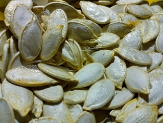 Background of white pumpkin seeds scattered for drying. Theme of agriculture and pumpkin cultivation. Seed supply for spring.
