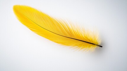 Fototapeta premium a yellow feather on a white background The feather is the main focus of the image, with its bright yellow color standing out against the stark white surface