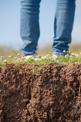 Above and below ground. The metaphorical meaning of death and life. Segment of grass and earth. Grave idea concept
