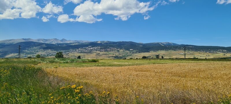 Font-Romeu et le massif du Carlit vus depuis la plaine de la Cerdagne l'&eacute;t&eacute;