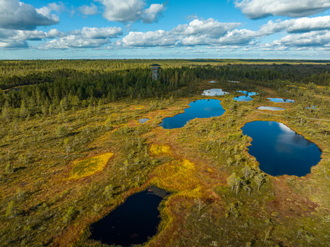 Mukri bog