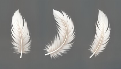 Soft white feathers isolated on gray background. Realistic modern design illustration. Feathers symbolize purity, gentleness. Suitable for fashion design, home decor, spiritual themes. Image shows