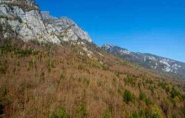 Majestic mountain peaks rising above a colorful autumn forest. Triglav National park Slovenia
