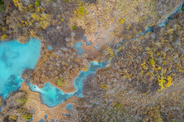 Lush wetlands with vibrant blue waters surrounded by earthy colors and wild vegetation in a natural setting in autumn