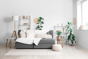 Cozy sofa in interior of living room