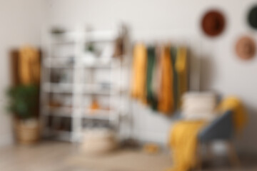 Interior of dressing room with rack with clothes, armchair and shelving unit. Blurred view