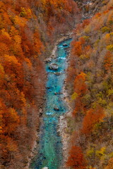 River high in mountains captured in autumn