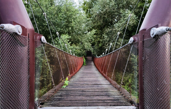 Fototapeta bridge in the forest