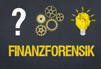 Obraz premium Finanzforensik 
