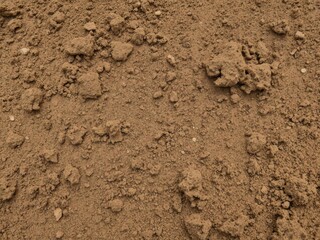 Close-up shot of rough and gritty dirt surface with visible particles and uneven texture, top view