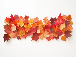 Bunte Herbstbl&auml;tter auf wei&szlig;em Hintergrund

