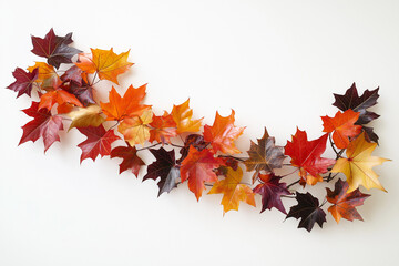 Naklejka premium Bunte Herbstblätter auf weißem Hintergrund