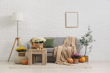 Cozy sofa, coffee table and chrysanthemum flowers in interior of living room