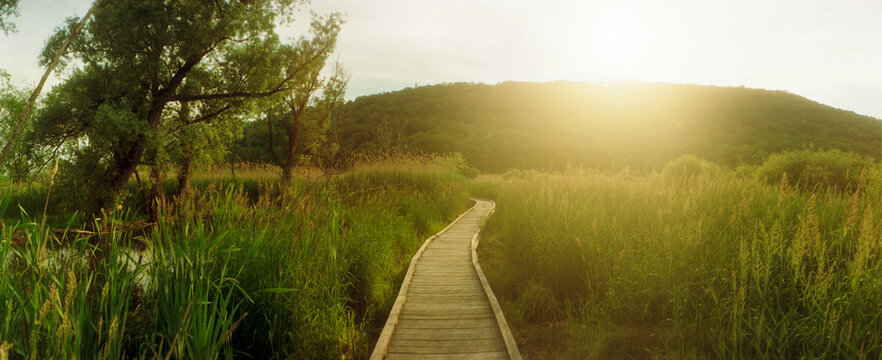 Panoramic image of the Appalachian trail path going through New York State, United States