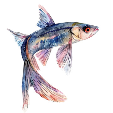 recommend clip art: A watercolor painting of Flying Fish, isolated on a white background. Flying Fish vector.