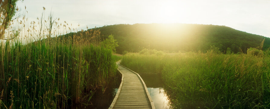 Panoramic image of the Appalachian trail path going through New York State, United States