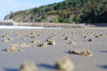 plage recouvert de petit tas de sable formé par des vers à marée basse