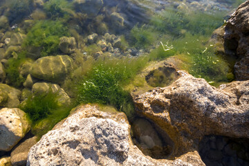 Low view of a beach with rocks. calm sea, moss and algae on the stones.