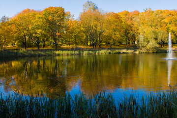 Polska Złota Jesień 2024 © Krzysiek Cegiełka