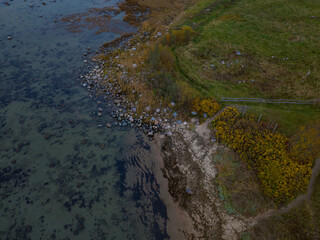 Aerial photo taken over Paljassaare Peninsula in Tallinn, Estonia, captures the land covered in shades of green and yellow foliage. The raw, untouched beauty of the peninsula’s shoreline. Baltic sea.