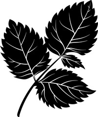 Obraz premium Stylized Illustration of Mint Leaves