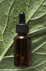 Face serum bottle on wet green leaf with water or rain drops