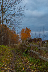 Fototapeta premium A narrow path winds through the scene, bordered by wooden fencing on the right and a mix of grass and sparse vegetation on the left. Autumn landscape at Paljassaare Peninsula, Tallinn, Estonia.