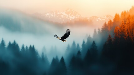 Obraz premium Bald Eagle over foggy forest, pine trees in foreground, mountain range behind