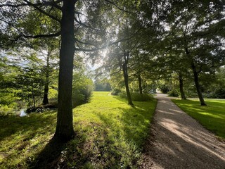 Naklejka premium View of pathway through park with green trees alongside