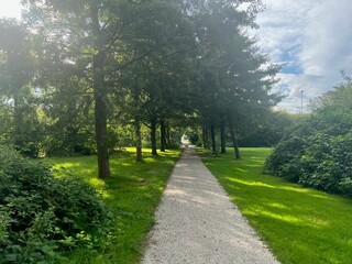 View of pathway through park with green trees alongside