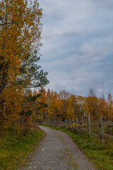 A narrow gravel path winds through the scene, bordered by wooden fencing on the right and a mix of grass and sparse vegetation on the left. Autumn landscape at Paljassaare Peninsula, Tallinn, Estonia.