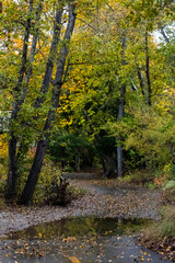 Fall Colors in San Luis Obispo County, Avila Beach