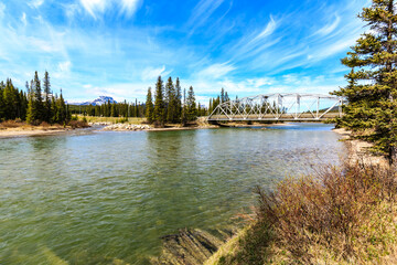 Fototapeta premium A bridge spans a river with a green waterway