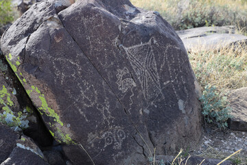 Petroglyphs at Three Rivers Petroglyph Site, New Mexico