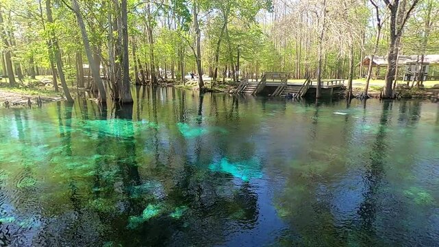View of Ginnie Springs in central Florida USA 